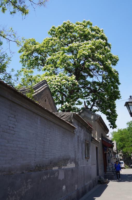 Songy Hundred-Year Courtyard Hotel Beijing Exterior foto